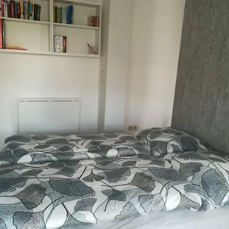 Apartment Guelkaya Nürnberg
